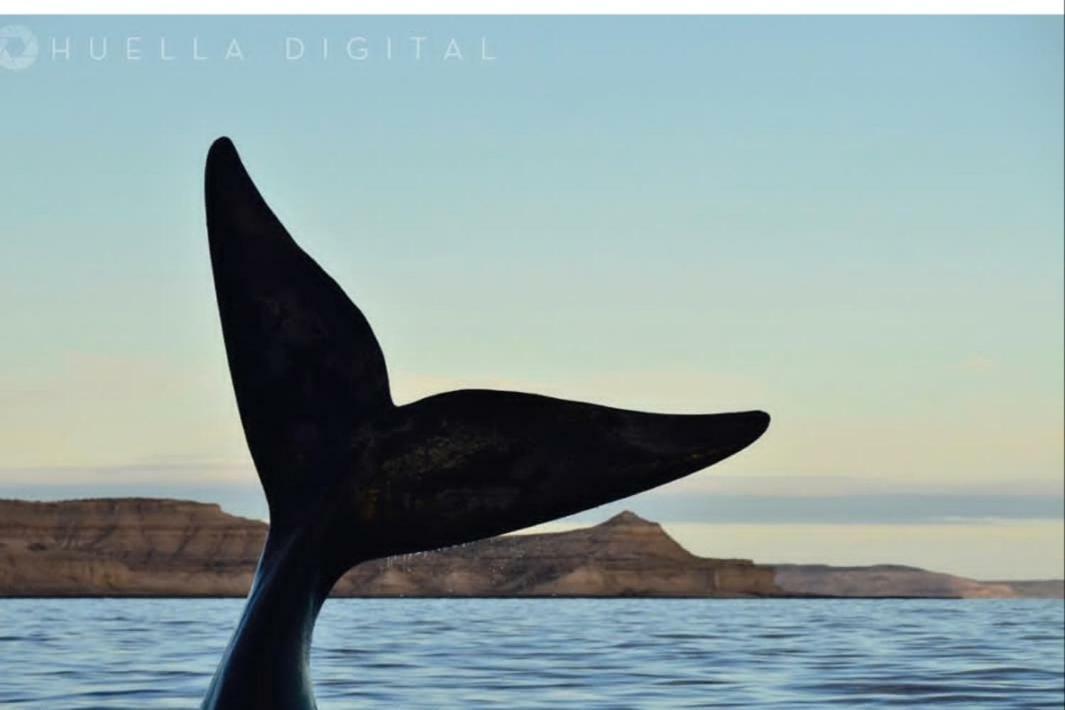 Alem * Puerto Madryn